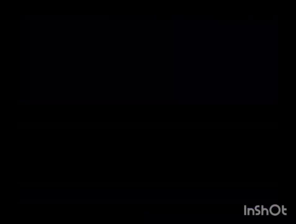 � ��� �� "���������������� ��� �53" �� ���� ������������ �������� �� ��� ������������