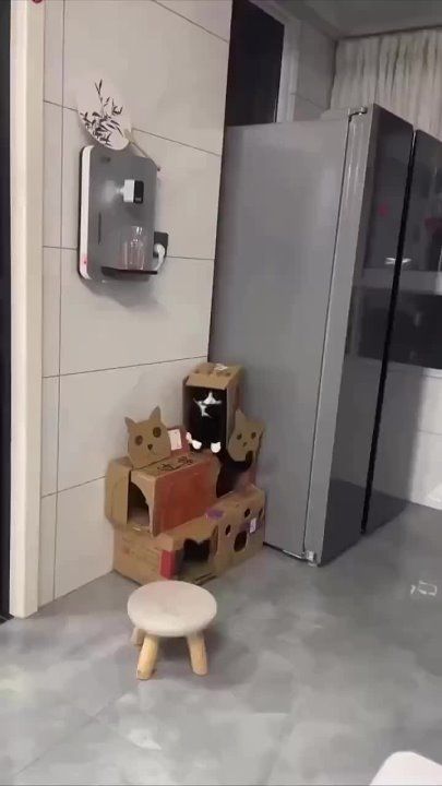 ���� ����, ��� ���, ��� � ��������