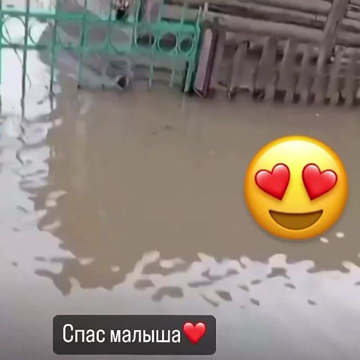 ������������ ����� �� ��������� ������� �� ���������� ����� � ��������������