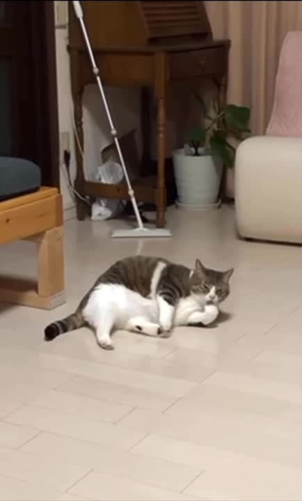 ��������� ��: ������� ������