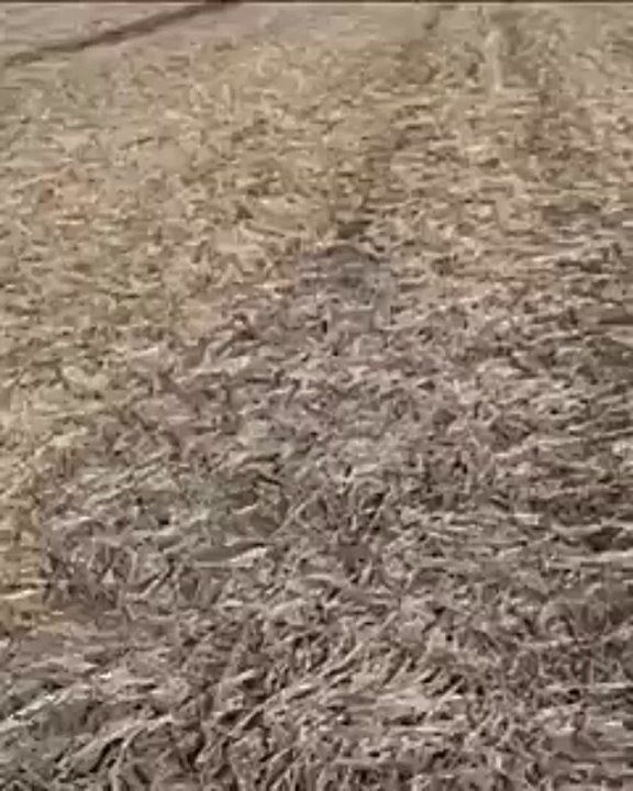 � ����� �� ��� ���������� ������� �� ���� ����������� ������ � �������������
