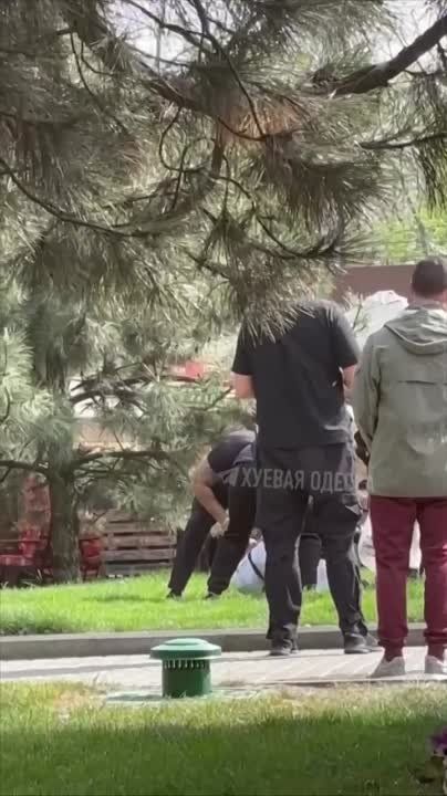 ������ �������: ���������?. ���, ������� � ��� ����������
