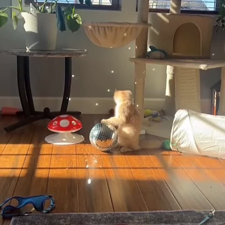 ������ ����!