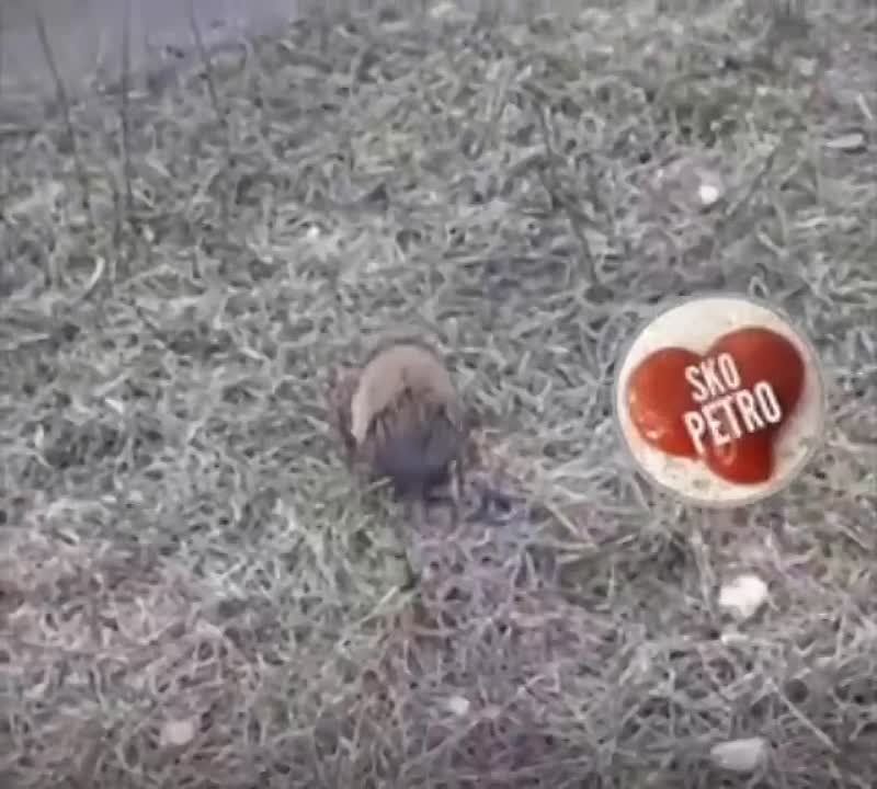 �������� �� �������� ������ � �������������� ������ �������