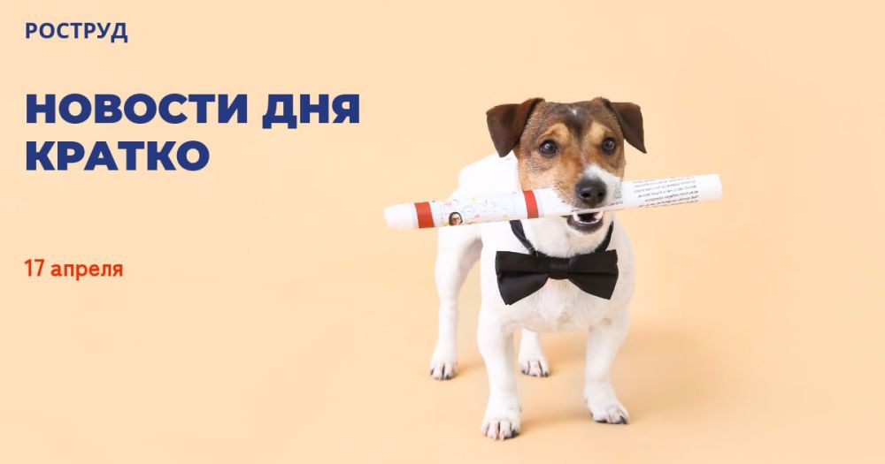 В этом году "Тотальный диктант" можно будет написать на национальных языках народов России