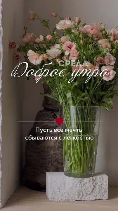 ������ ����, ������� ����������!
