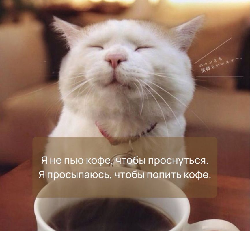 17 ������ � ���� ����.. ������������� ���� ���� � ��� ����� ������� ��������� ����� �������� �������, ������������ � ��� ������� � ���������� �����