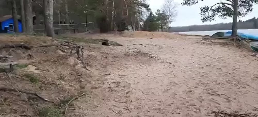 �������� ����������: ����� �������� ������� ���������� ����� ������ �������� � ����� ���������� �� �������� � ��������� ������ �� ������������, �������� � �������� ����������