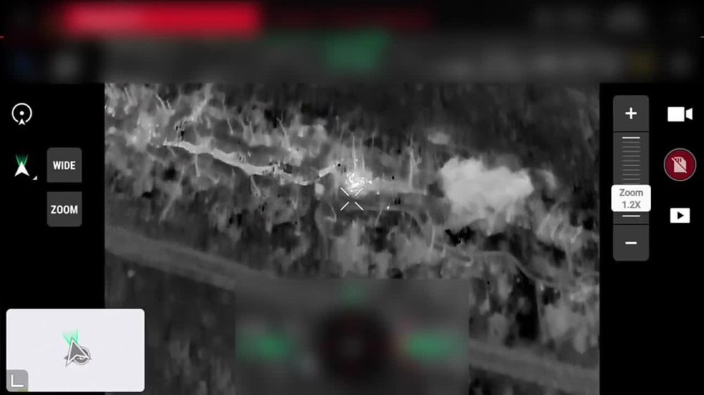 ����� �����: ����������� �����������