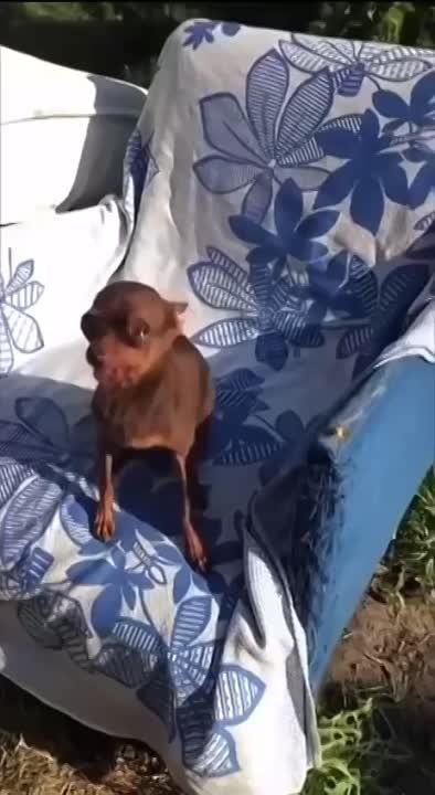 ������ ����!