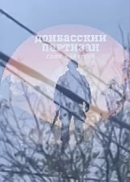 � �����-���������� ���� �������� � �������� ����� "�������" � ��������� �� ���������� �������