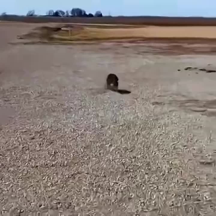 ������ ����, ������! �������� ��� ��� � ��������� ����������!