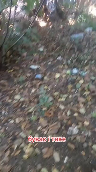��� ���� ��������� �������� ���������� ������������ ����� �������-��������������� ����� �� ��