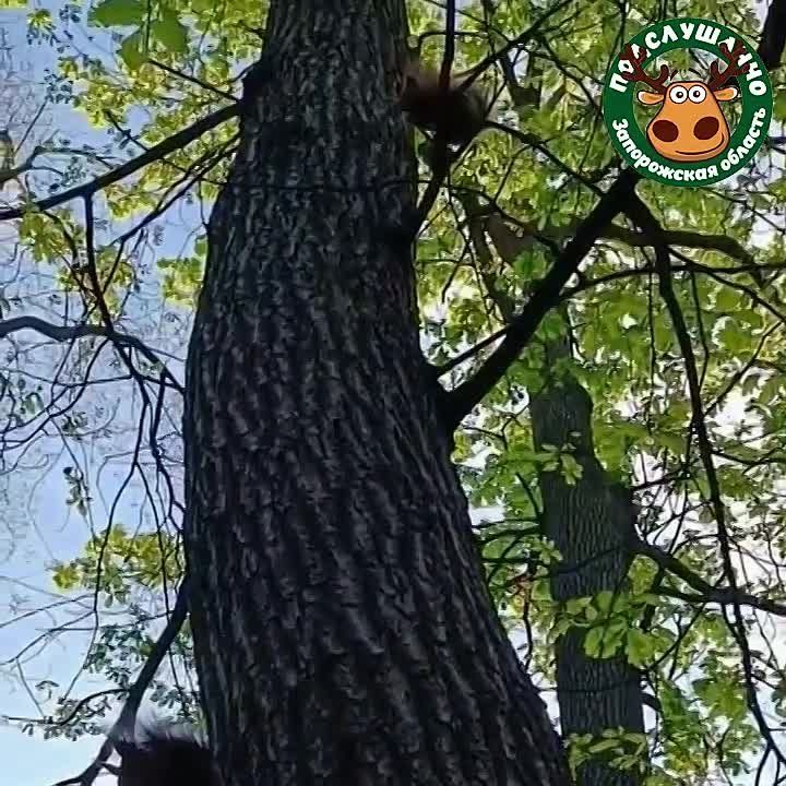 ������ ����, ������!. ��� ��� ���������� ���� � ����� ��. �������� � ���������� ���������� ��� ���� ���� � ����� @podslushanozp_bot