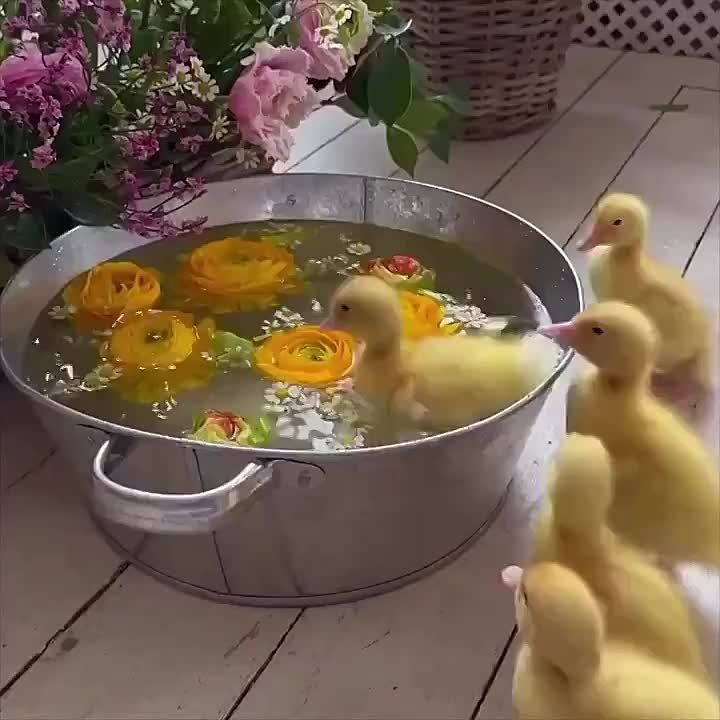 ������ ����, ������� ������!
