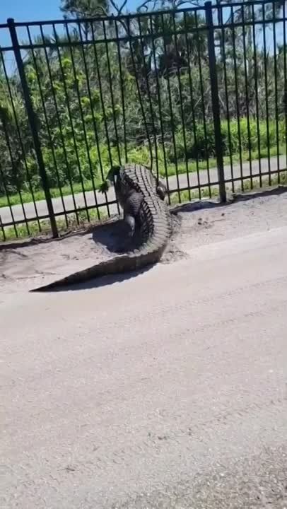 ����� ����� ������ � ������� �� ���������� ������ ������