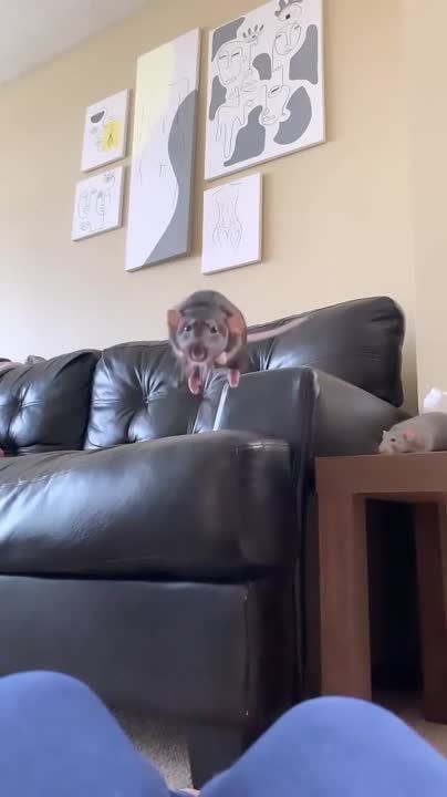 �� ���������, ��� �������� �� ������, �� ����� ������