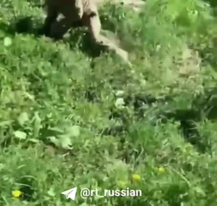����������� �������� �������� �������� � �����, ����� �������� �� �����, �������� �� ���� � ����������� �������