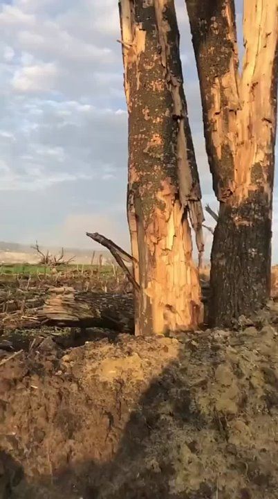 ��������� ����� ������ ���������� ������� �� ������ ���
