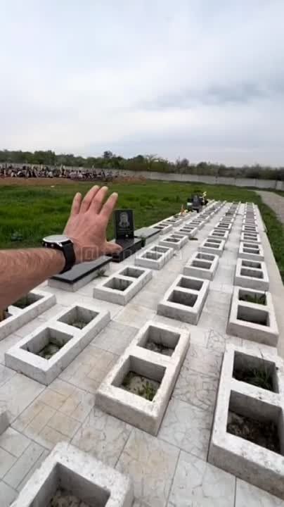 ����� �����: ������� ������� �� ���������