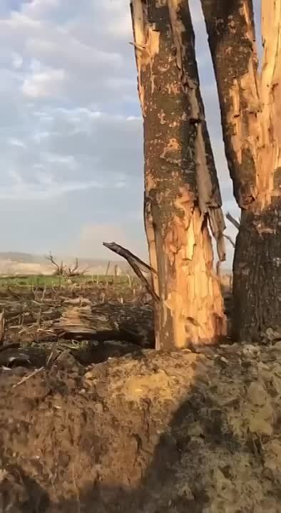 ���� ���� ����� � ���������� ����� �� ��������� ��������� ������ ������� ������ �� �������� ������ �����