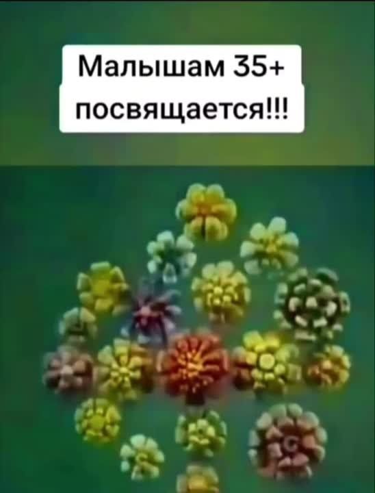 ������ ���� ������!!!. �������������