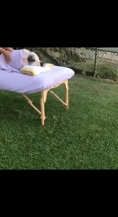 ���� ���� ����� ���� � ������� ������