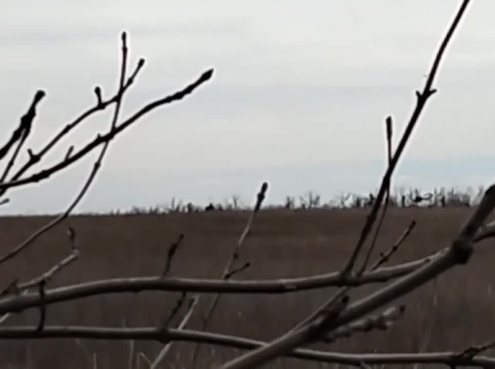 ����� ������ � ������ ���������