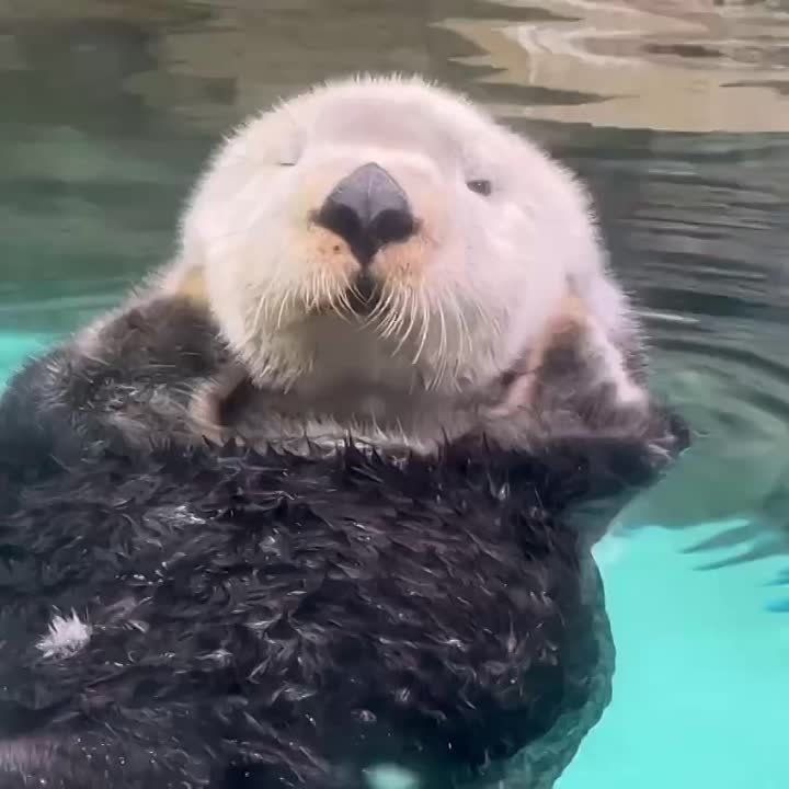 ������ ����!