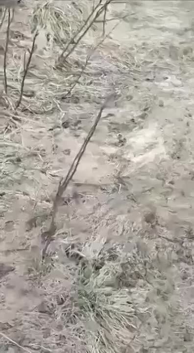 �������� - �����. ��� ����������� �� ���������� � ���� ����� ���������� ����� ���������� � �������������