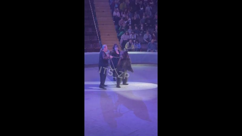 ������� ������ ����������� �����