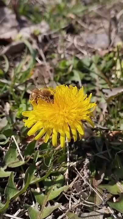 22 ������ ���������� ���� �� ����� �������� ����������, ������� �������� ������ ���������� �����, ���������� ������� � ���������� ��������� ��������� � ��������
