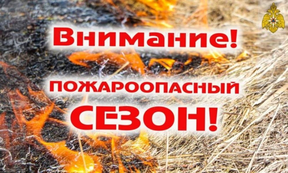 � ����� � ���������� �������� ��������� �� ���������� ����������� �������, � ������������ � �������� ������������ �������, �������� � ���������������� ����������� ������� �11-�� �� 11.04.2024 ���������� ������ ��������������� �����
