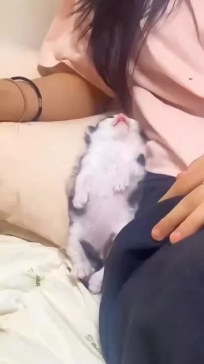 ����� ������ ��������� ������ ����������