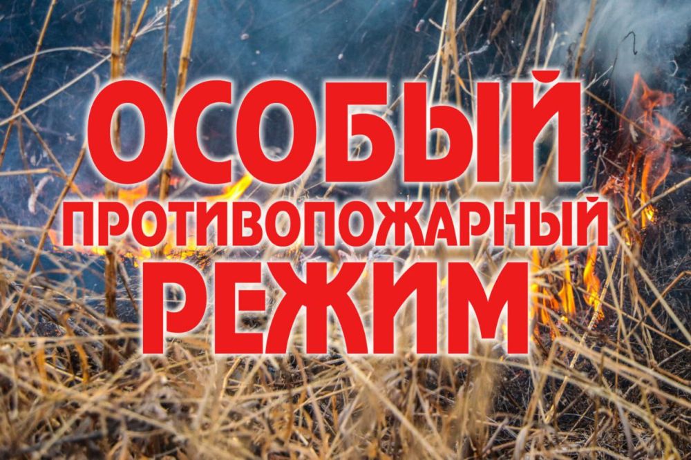 � 11 ������ 2024 ���� � �� ������� ������������ �������� ������ ��������������� ����� �� ���������� �����������