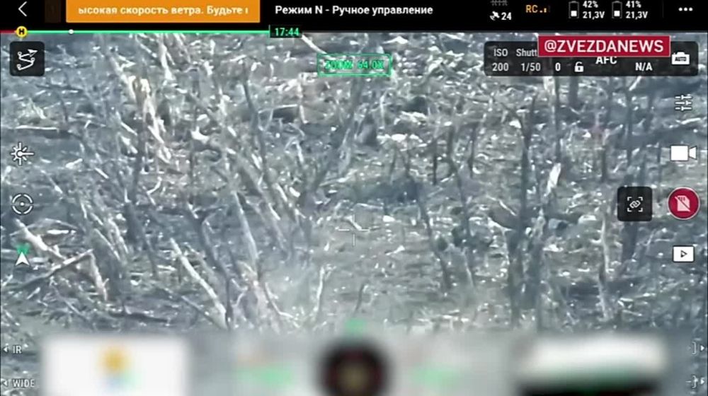 ���������� ���, � ������� ���������� ������ �����������, ����� ��� ������� �����