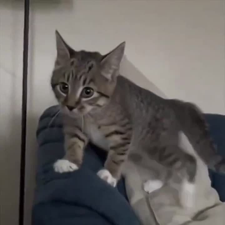 ������ ����!