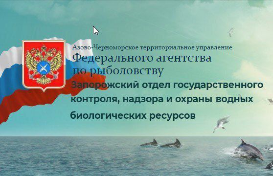 �������� ������. �� ���������� ����������� ������� � 1 ������ �� 31 ��� � ������������ � ����������������� ����������...