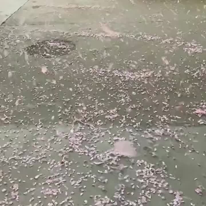 �� ������� ��������� ���� ��������� �������� ������