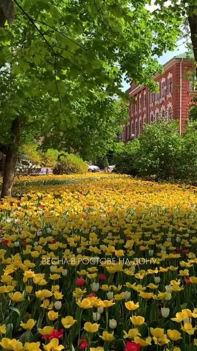 ������� �� ����� ���������� � �������-��-����