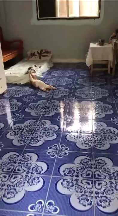 ��� �� ����� ��, ��� ����� ���� � ����� ��������