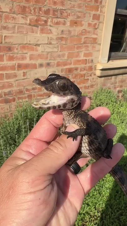 ������ �� ������, ��� ������������� ��������� ��������