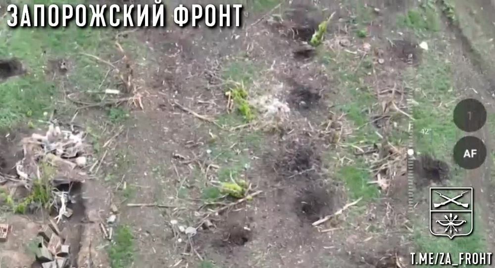 ����� ������������ �������� ������������ ������� ���, ������������ �������� ����, � ������������ �������� �� ����������� �����������