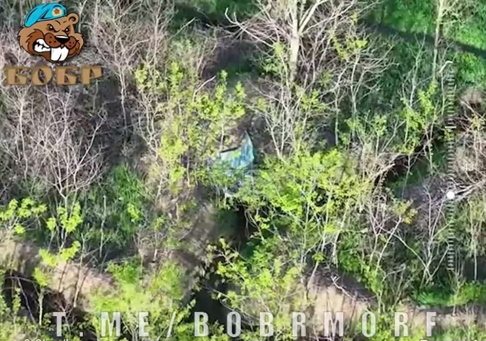 ����� ��� ���� �������