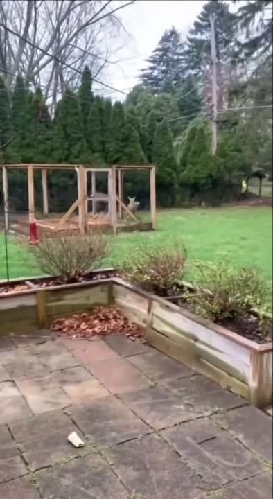 �����, ��� �� ������ �������
