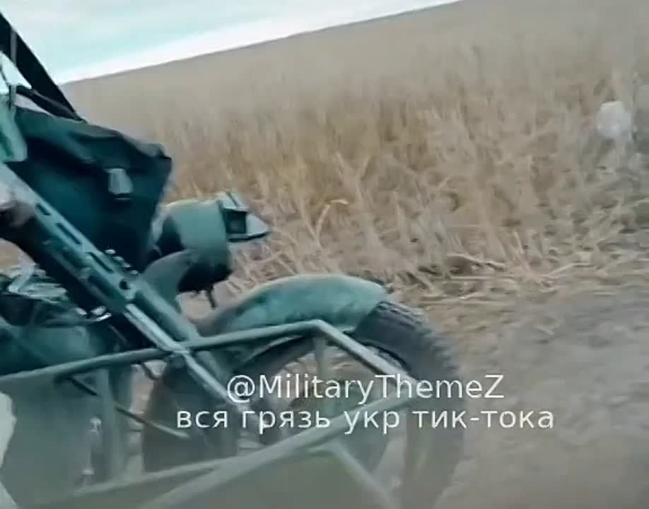 ���������. ������� �������� ��������� �������� � ��������� ��������� �� ���������� ������������ ����������� "������ ������"