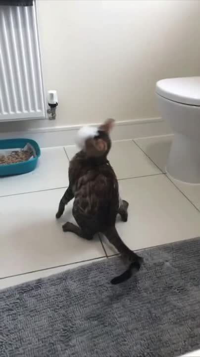 ��������� ����, ������� ������!