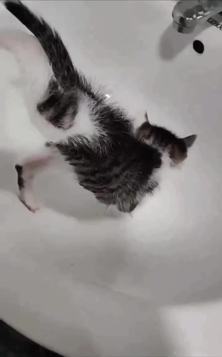 ���, �� � �������� ������