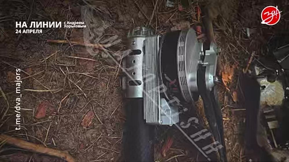 ��������� ���������� �� ������ ������ � ������� ��������� � ��������� ��� ����� | 24 ������