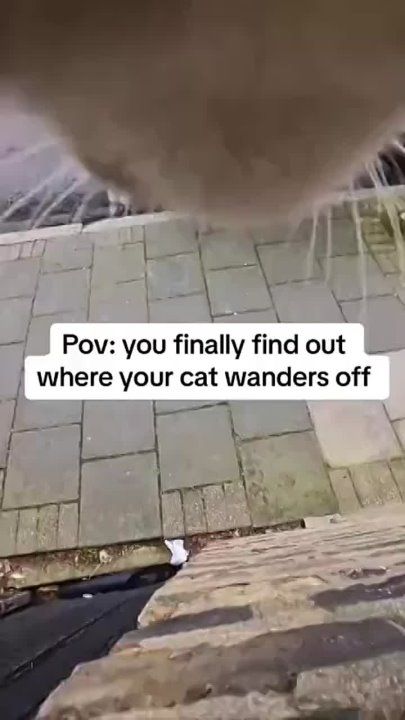 ������ ������� �� ������� ������ ���� ������, ����� ������, ���� �� ������ ������ ����